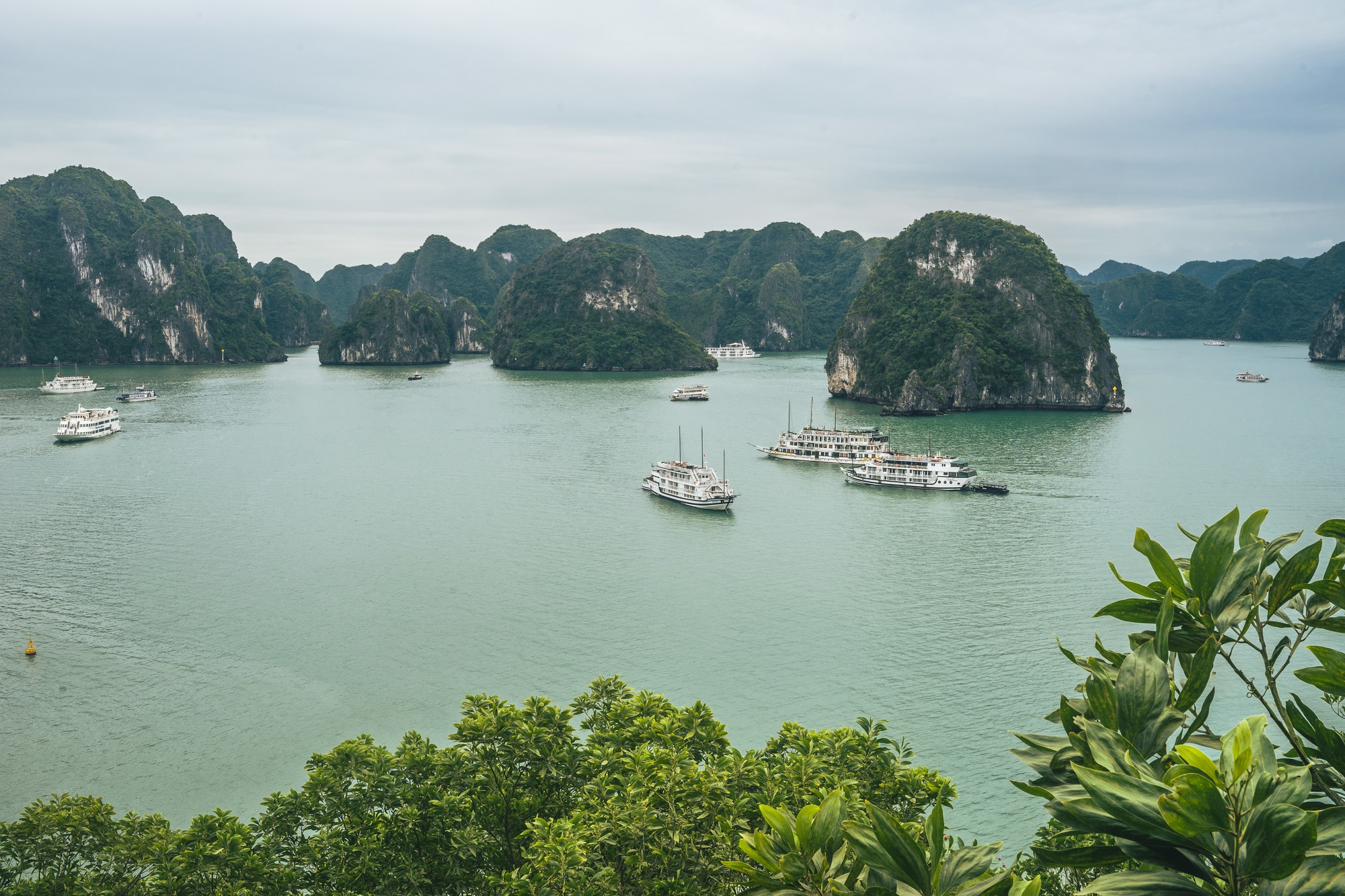 Vietnam Diaries – A Journey Through Culture, Cuisine & Calm