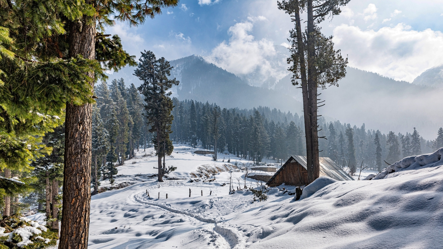 Highlights of Kashmir - Luxury