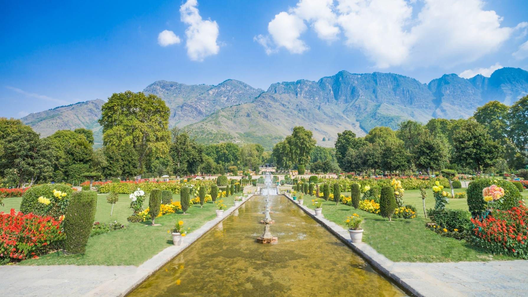 Kashmir Magic