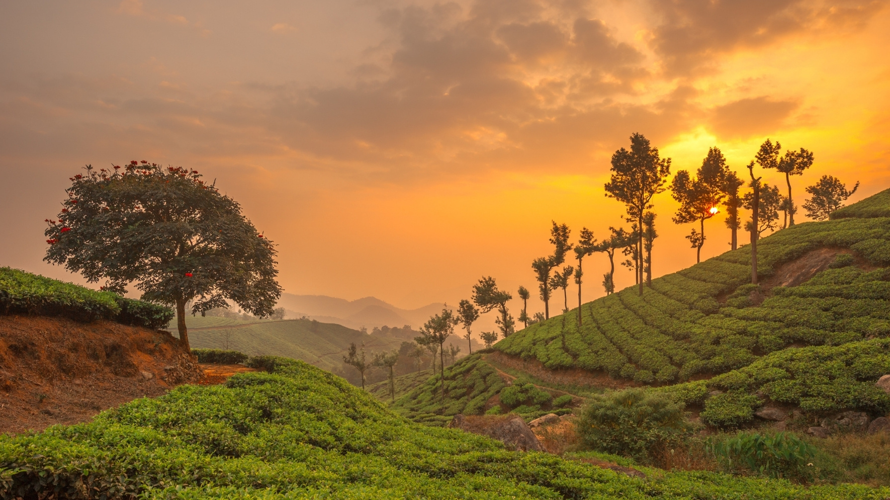 Kerala Magic