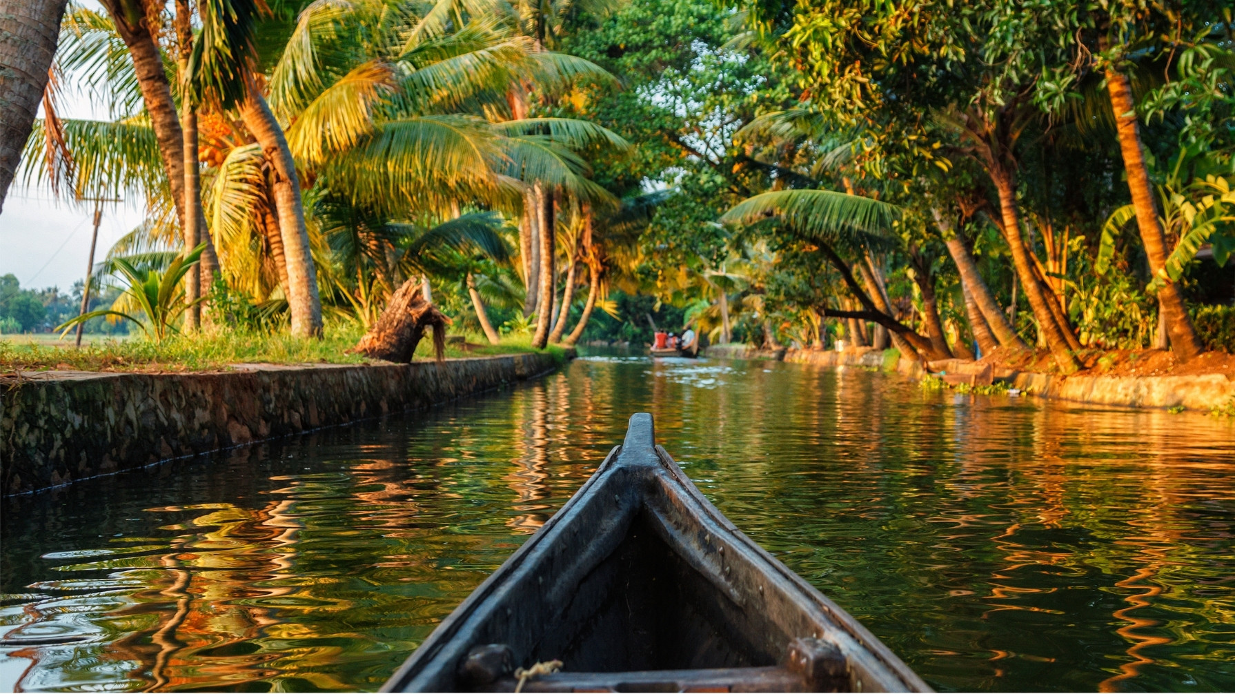 Kerala Delight