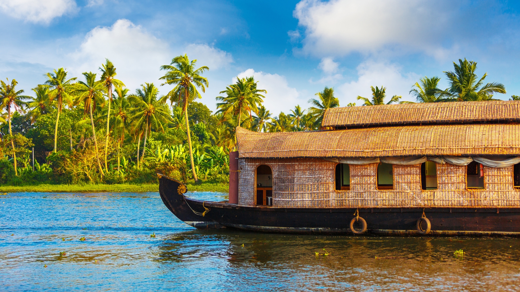 Kerala Delight - Premium