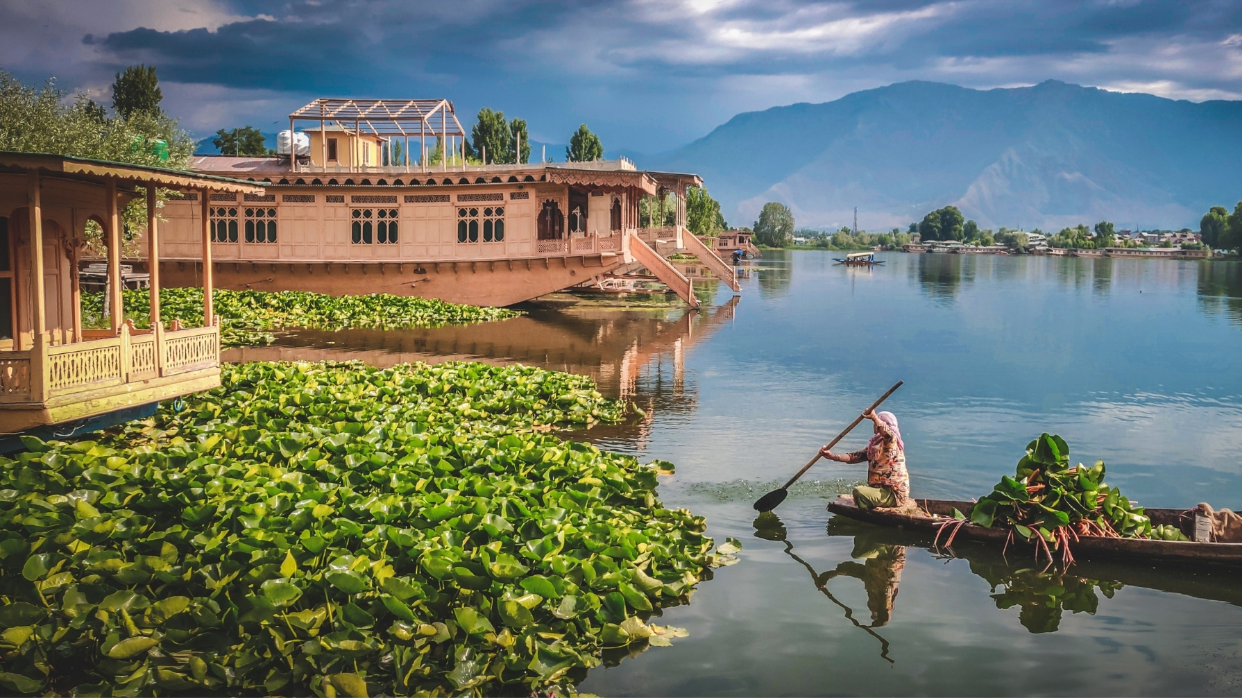 Mini Kashmir - Luxury
