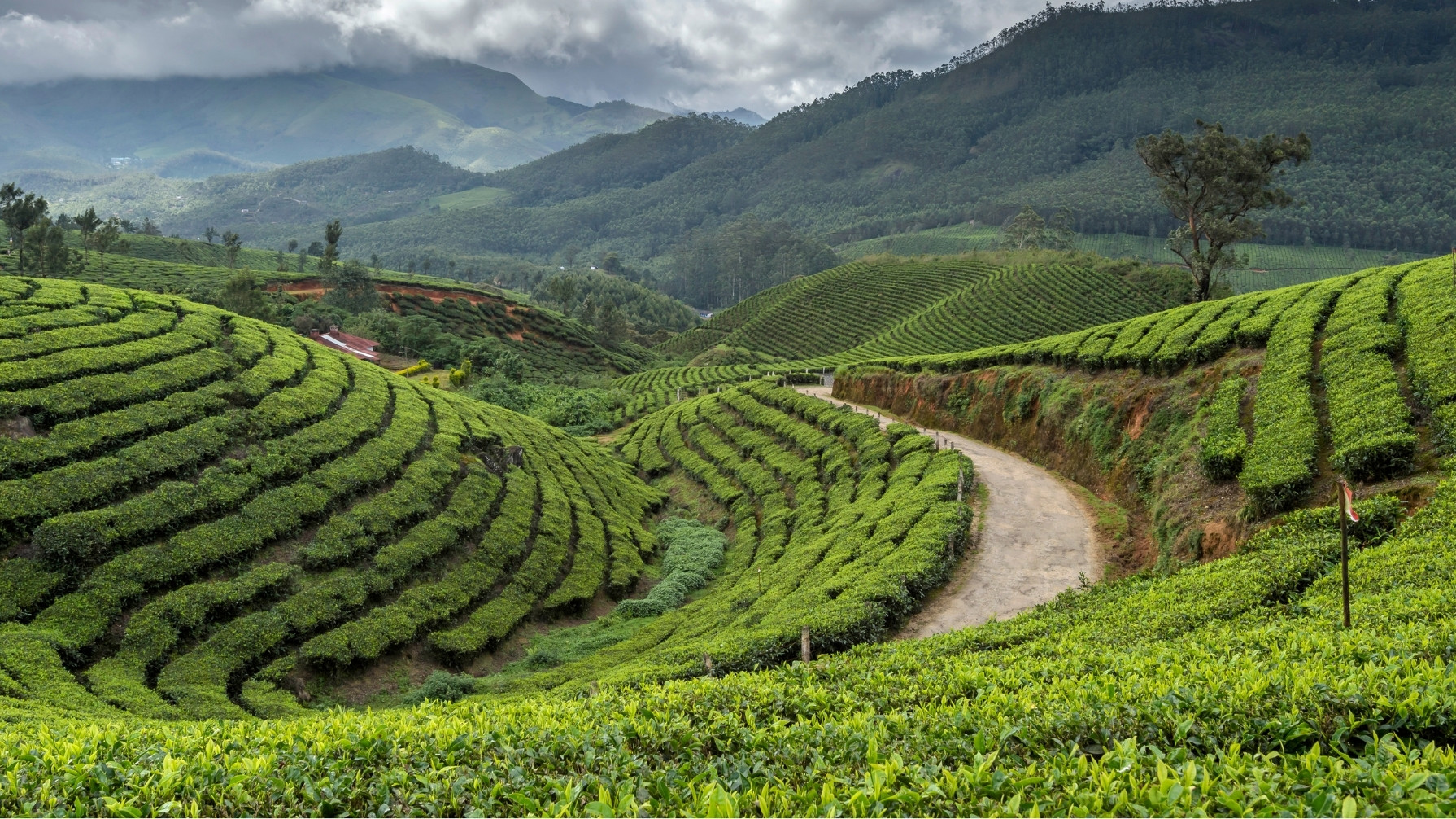 Mini Kerala Getaway
