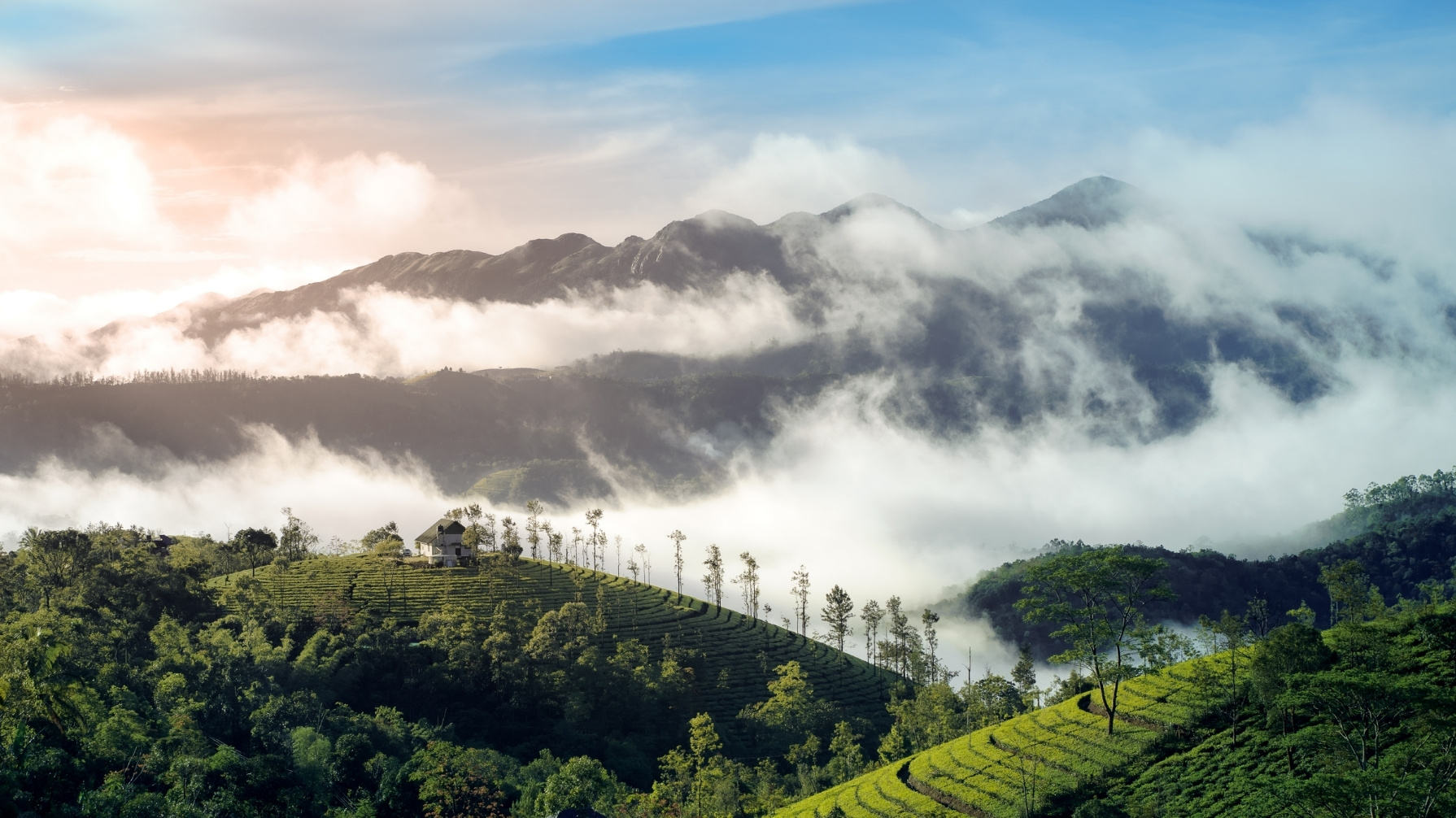 Mini Kerala Getaway - Luxury